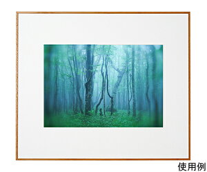 PR[EgLi[ A~z@M[@A3@i`iؖڒj 1 ACY-A3-NA