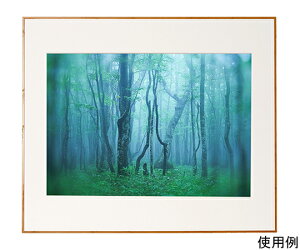 PR[EgLi[ A~z@M[@A2@i`iؖڒj 1 ACY-A2-NA