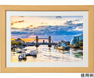 PR[EgLi[ ؐz@RXX@ChZ؁@i` 1 MCM-W6-NA