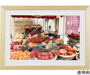 PR[EgLi[ ؐz@NEWK[f@ChZ؁@i` 1 MNGA-W6-NA