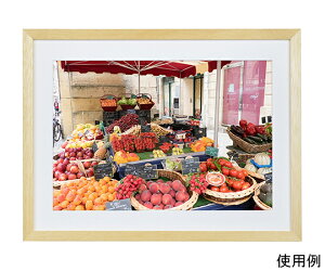 PR[EgLi[ ؐz@NEWK[f@Chl؁@i` 1 MNGA-W4-NA