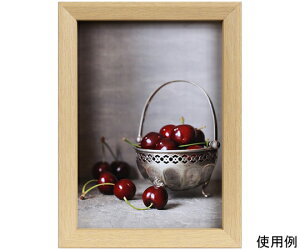 PR[EgLi[ ؐt[@xWF@2L@i` 1 PS-BE-2L-NA