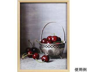 PR[EgLi[ ؐt[@xWF@A3@i` 1 EBE-A3-NA