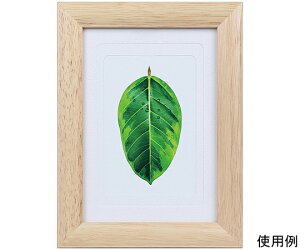 PR[EgLi[ ʐ^ā@S̖؁@LEnKLE2Lp@i` 1 PS-GM-NA