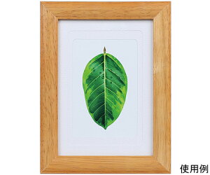 PR[EgLi[ ʐ^ā@S̖؁@LEnKLE2Lp@`[N 1 PS-GM-TI