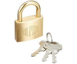 qbg ALPHA@V_[싞@35mm 1pbN 1-204