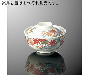 ۉH  g tH 1 A 17B-SJS