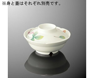 ۉH ~^ϕq g [t 1 B 31B-LF