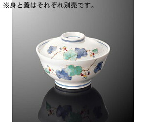 ۉH ј  W T17Wp Ԃǂ 1 T 31C-NBD