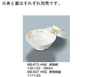 OMH ϕo@t 1 MB-673_HNE