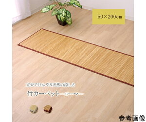 �|�}�b�g�@���n�@�Џ@�|�@�牺�g�p�@�w���[�}�x�@���C�g�u���E���@50×200cm 1�� 1100780163408