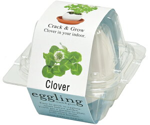 V| GbOO@N[o[ 1 EG-5705