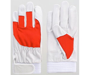 xmO[u ؖ{܁@AX[g@bh@S 1P[X(10o) 5878