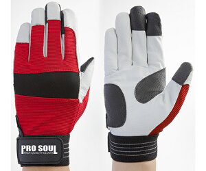 xmO[u ؖ{܁@v\E@bh@L 1P[X(10o) 7511