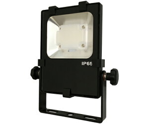 ���@ LED������@880lm 1�� NLFL10DAC1S3MP