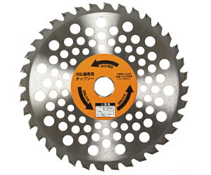 DIA-T W[Y_@yʑ`bv\[@2g 1g(2) JD2-23636