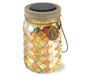 LV} Gg@\[[K[fCg@Citrus@Nut 1 KL-10354