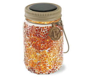 LV} Gg@\[[K[fCg@Amber@Shine 1 KL-10356