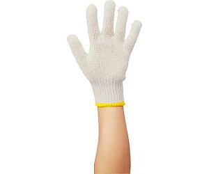 McށiWING@ACEj LiR@{@NO.600@12o 1pbN(12o)