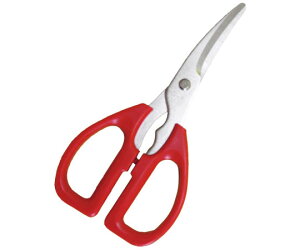 �g�b�v�v���_�N�c �J�j�n�T�~�@TK-81 1�� 6582000