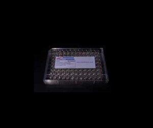 G^}CNAiVX JvZ@8×5mm@Ultra-Clean@Standard@Weight@96/pk×10 1 D1113