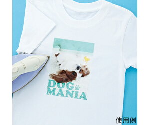 TTvC CNWFbgɋACvg@zp 1Zbg JP-TPRTYN