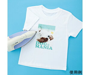 TTvC CNWFbgɋACvg@zp 1Zbg JP-TPRTYNA6