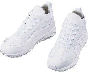 WHISELidj SV[Y@~hJbg@zCg@25.5cm 1 S1193