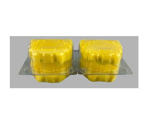 MȎY f{bNXL^Cv@2A@20Zbg@40ۊ 1(20V[g)