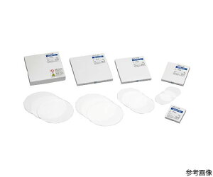 ADVANTEC PTFEh@PF-060@80mm@20 1(20) 38601080