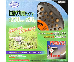 DIA-T W[Y_@yʑ`bv\[@230×36P 1 JD-23036