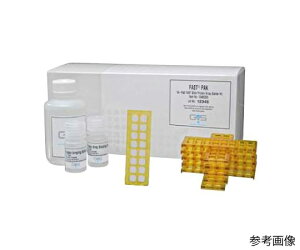 GVS タンパク質アレイ洗浄バッファー (10X) 125mL bottle 1箱(4本入) 10485330