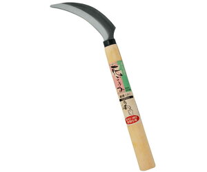 A[NhTJg Ԃ݁@@ 1{ 707703