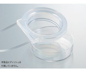 TvebN iP-TECR󗬃A^b`g@60ӃfBbVp@^Cv3.5 1g(2) 30604