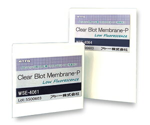アトー ブロッティング用PVDF膜「クリアブロット・P膜(低蛍光)」 1箱(10枚入) 2322505/WSE-4060