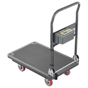 G[EAhEfC J[gXP[ SDV[Y Ђ傤:100kg ŏ\:0.2kg ʍZt SD100-00A00