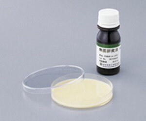 y܂Ƃ߂2Zbgzۗt@4005@6