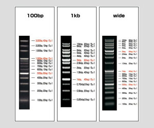 DNA���_�[�}�[�J�[VIO-100-1