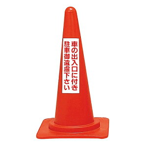 {Ώ\ bhR[X^h@Ԃ̏oɕtԌ䉓@RC-2 116020 1