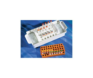 R[jO NCIWFjbNoCAjo[TbN50{[ 431131 1P[X(2×1pbN)