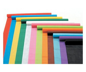 �A�[�e�b�N �J���[�s�D�z���[�� �� 3m�ؔ� 14167 1��