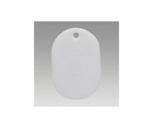 NE ԍD  n 100 F CR-BG30-W 1