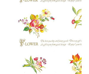 VW} HEIKO Mtg  VbNXt[ 50 1pbN(50) 002400708