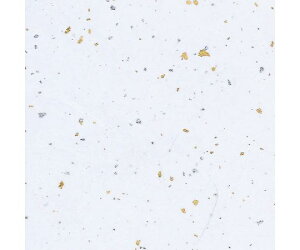 VW} HEIKO a _U  50 1pbN(50) 002107601