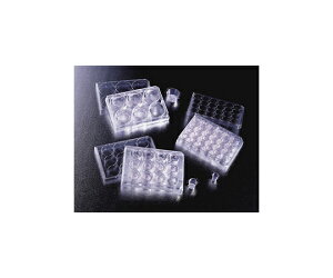 Corning�iFalcon�j HTS�}���`�E�F���C���T�[�g 96�E�F�� 1��m 5��/�p�b�N×1�p�b�N 1�P�[�X(5��×1�p�b�N��) 351131