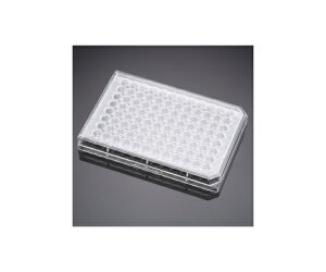 CorningiFalconj mg[ggv[g 96EF U t^t 1P[X(1×50pbN) 351177