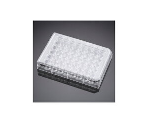 CorningiFalconj ZJ`[ 48EF }`EFv[g(3530786)  t^t 1P[X(6×6pbN) 353230