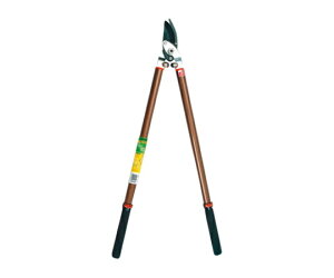 J}L Lk}炭Ԃ 1 #7510