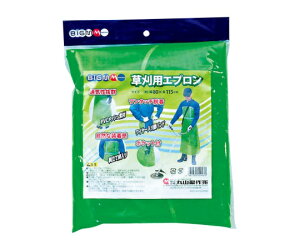 BIGM pGv 1 #412638