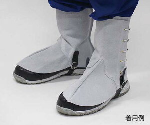 {퐻쏊 瑫Jo[nڗp(JM~) 1g 213-0622